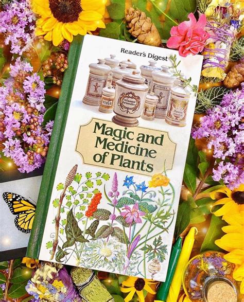 Magic and medicine of plants